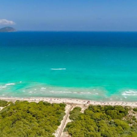 Beach House Alcudia Extérieur photo